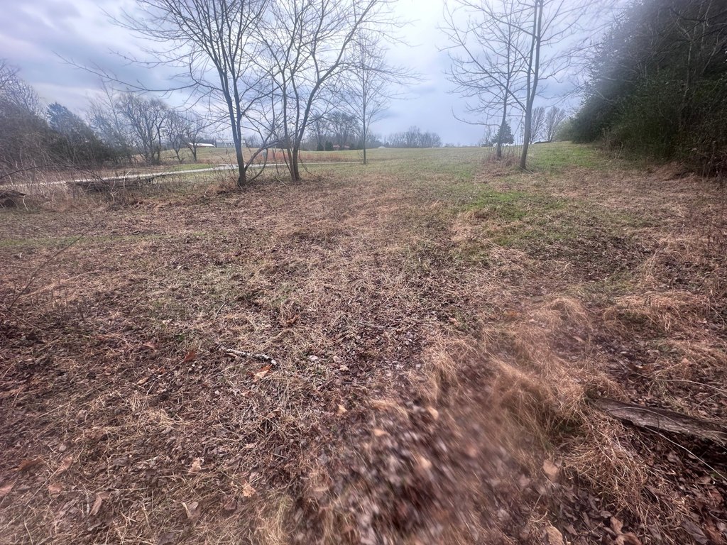 Picture 2