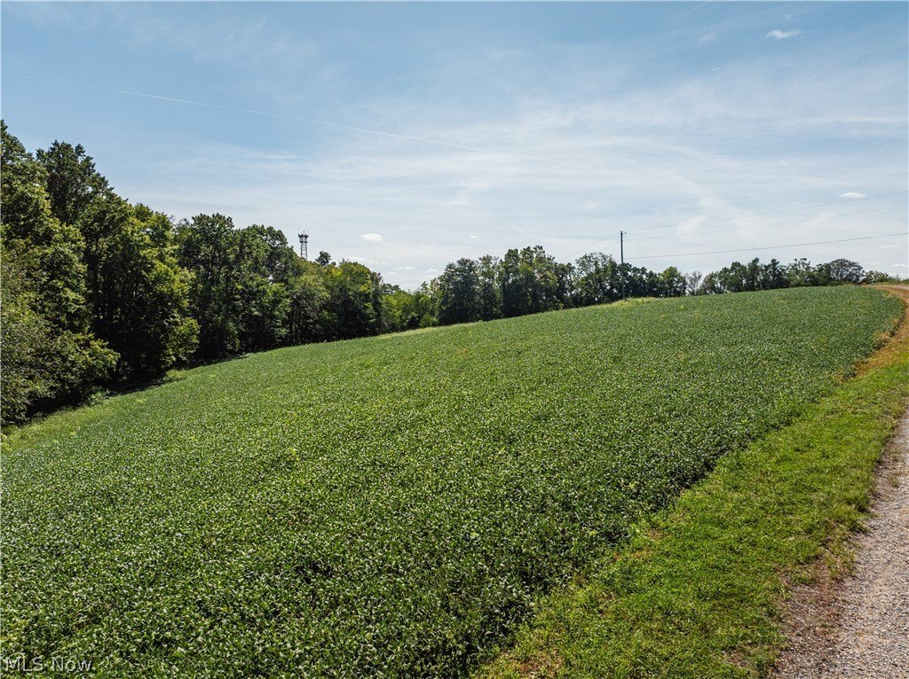 Picture 39