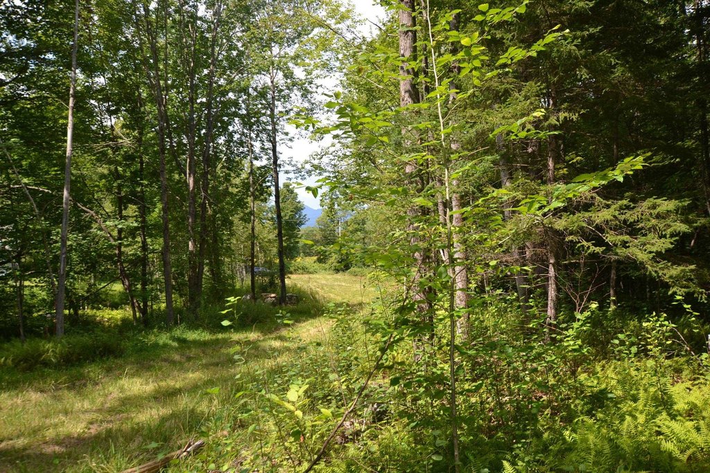 Picture 4