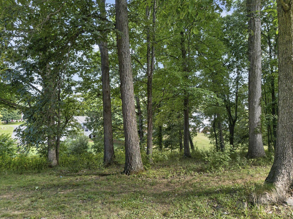 Picture 26