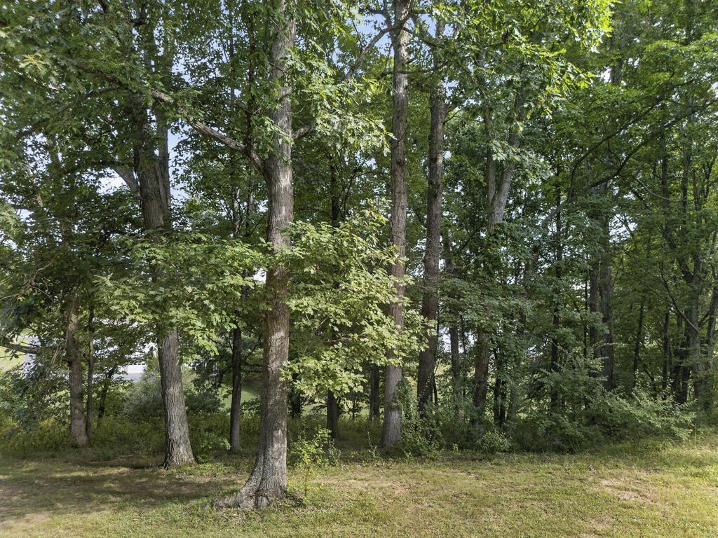 Picture 27
