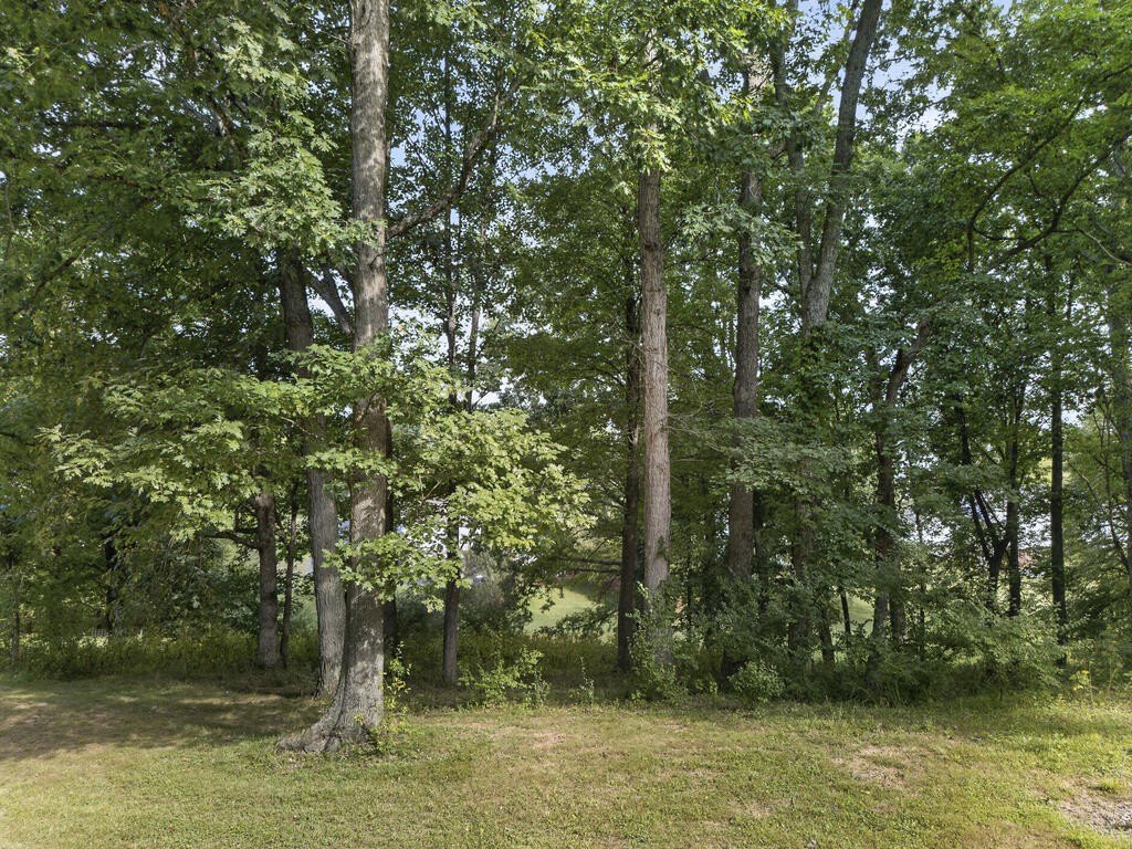 Picture 38