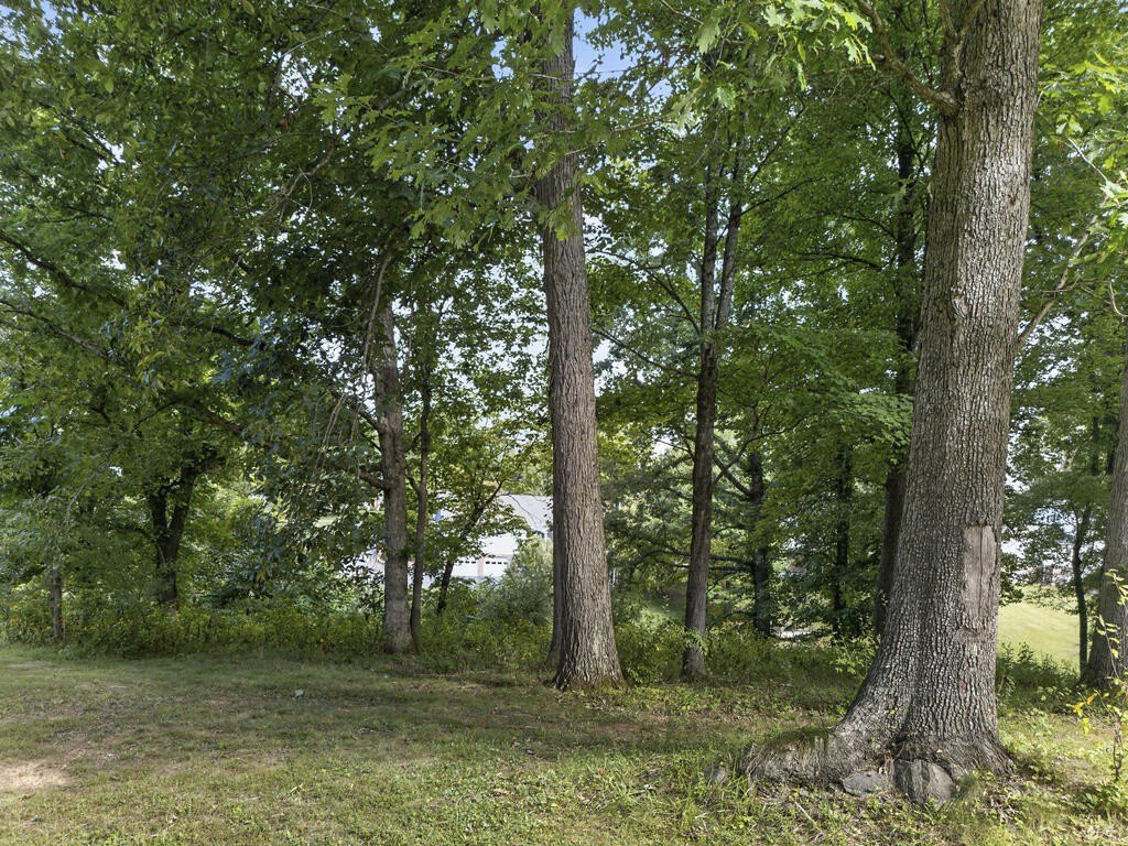 Picture 37