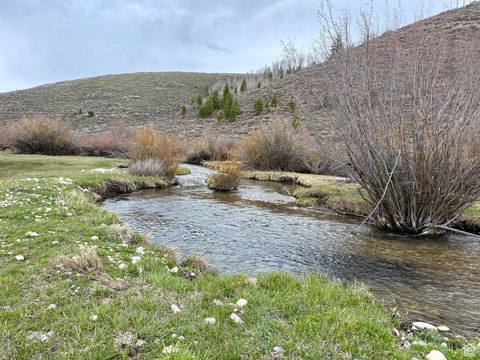 Bloomington Canyon Land with Creek