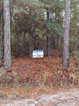 Glen St. Mary Land Parcel