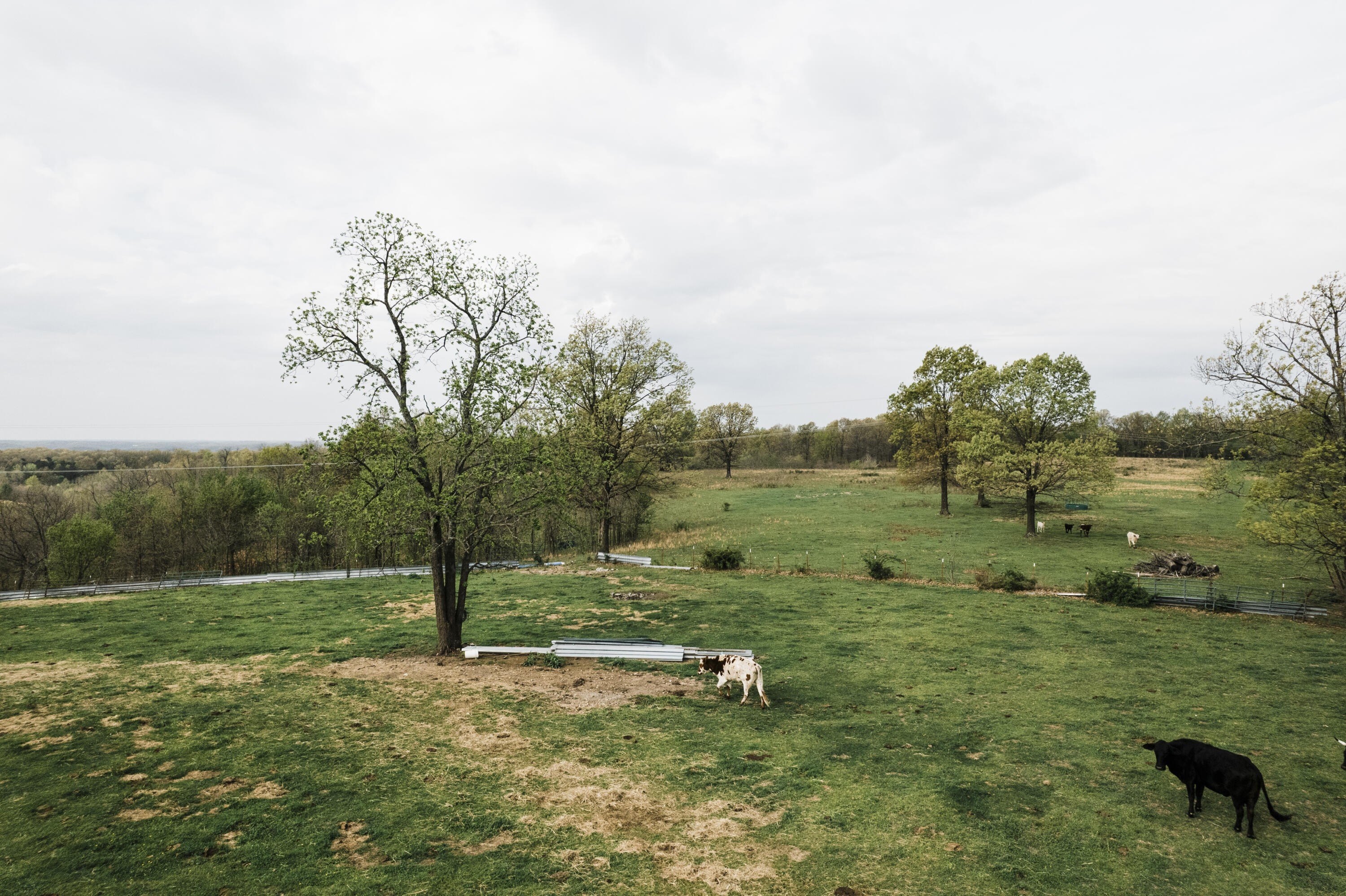 79.4 Acres of Farmland