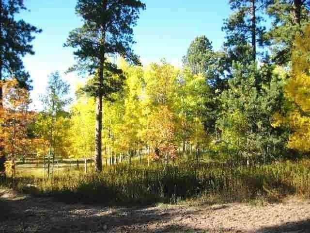 Picture 9