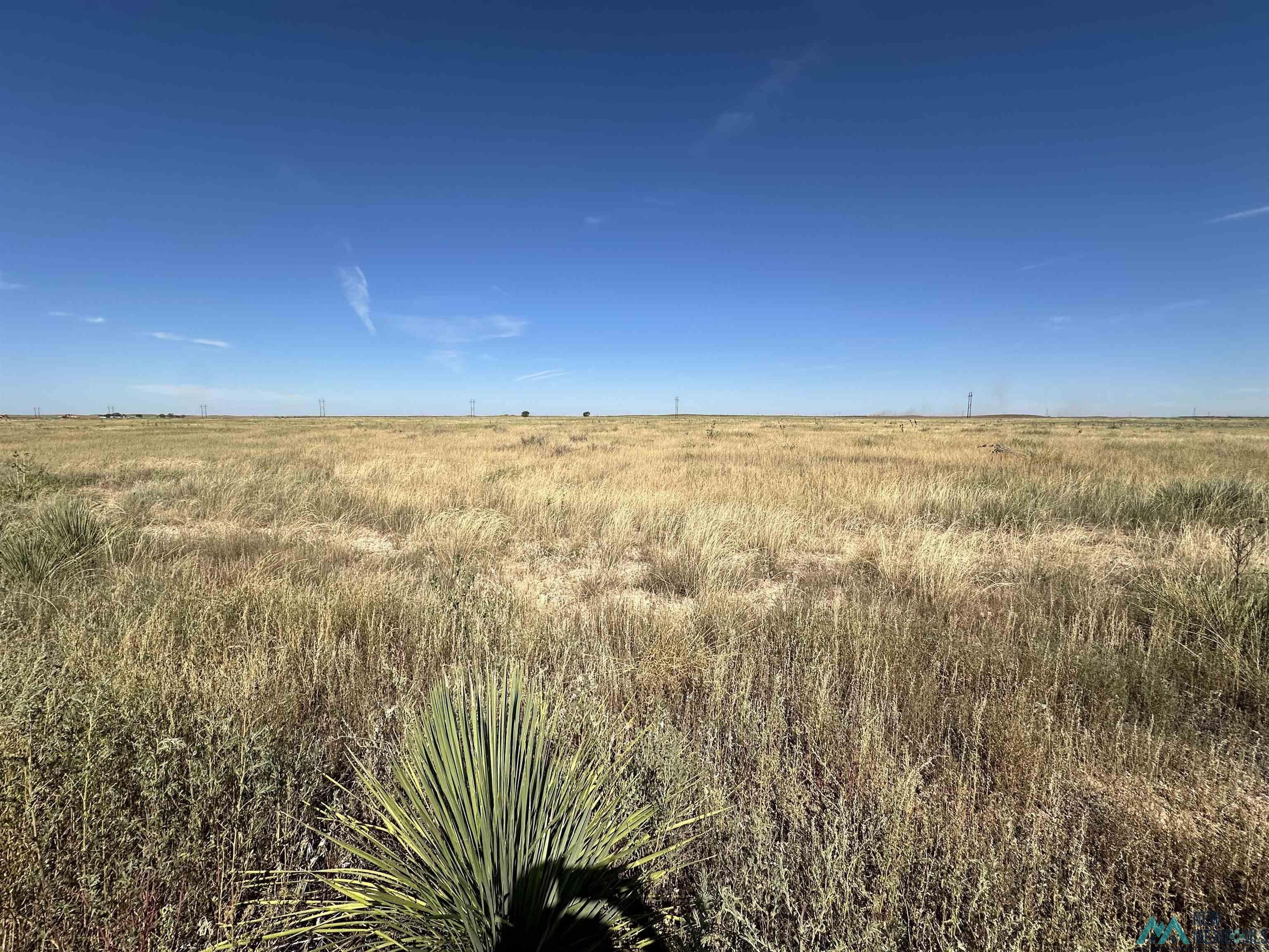 Land with Highway 70 Frontage