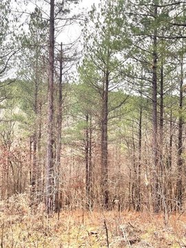 LAND - Broken Bow, OK