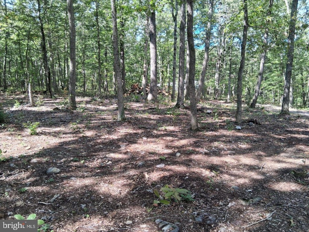 Picture 3
