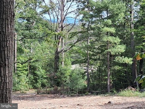 Land, LURAY, VA