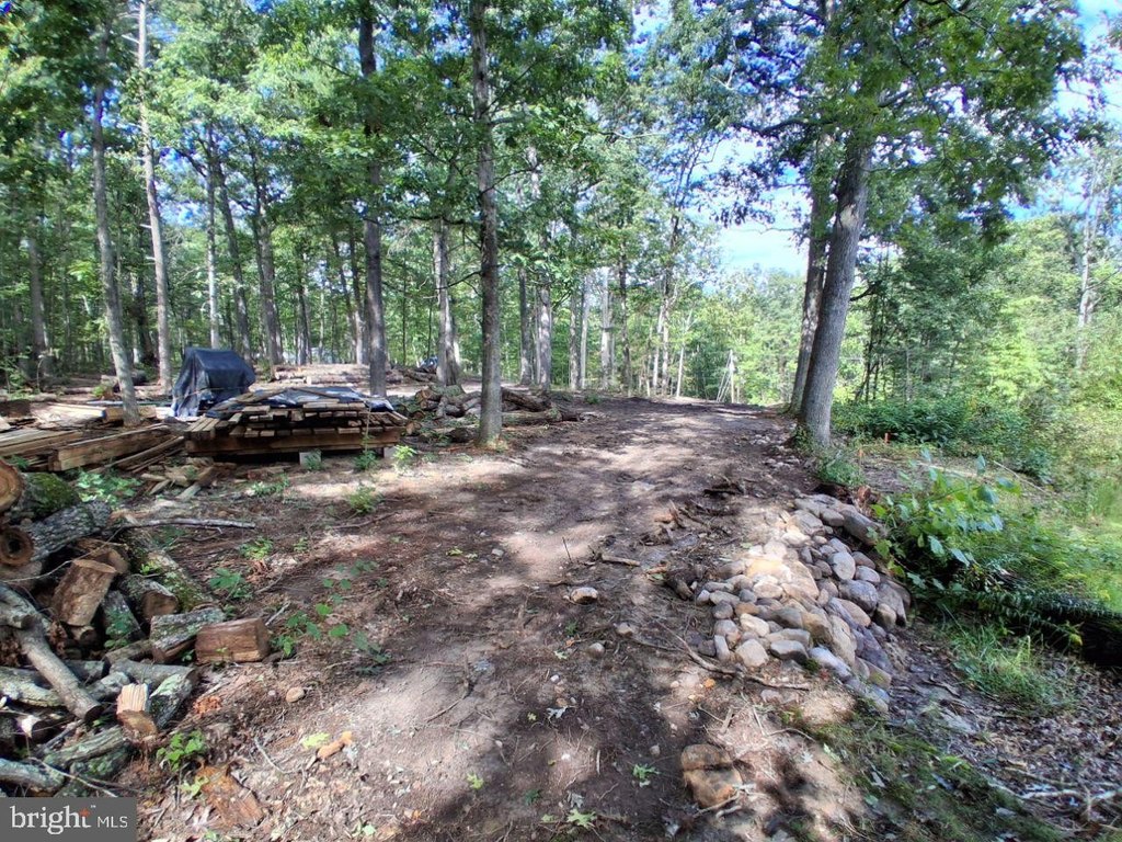 Picture 5