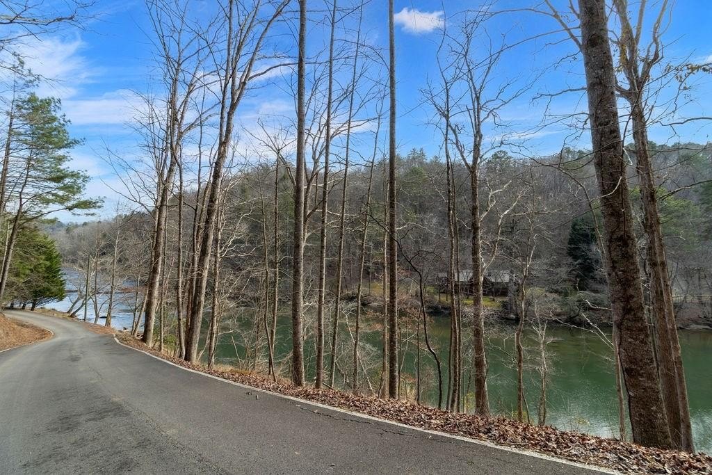 Ellijay Vacant Lot in Resort