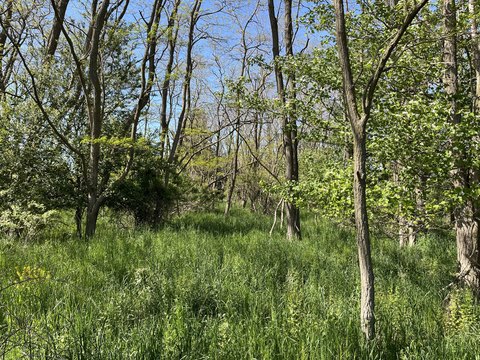 Corner Lot Residential Development Land