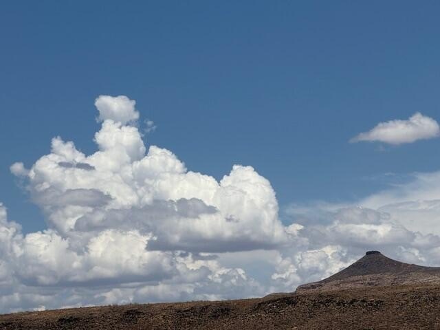 Picture 25