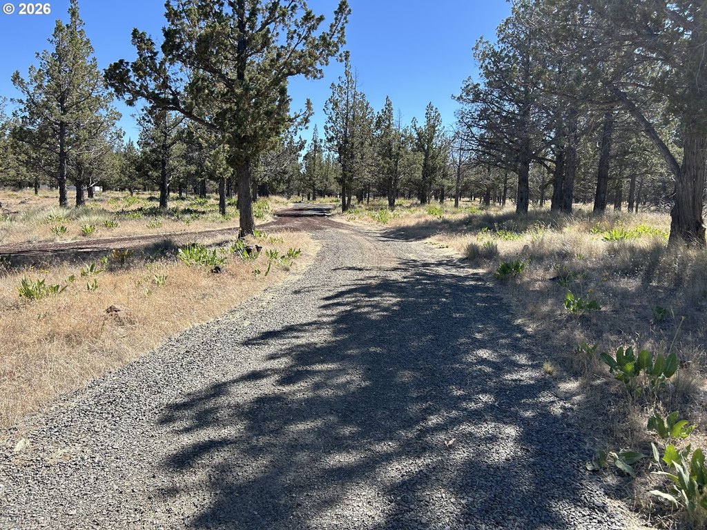 Picture 19