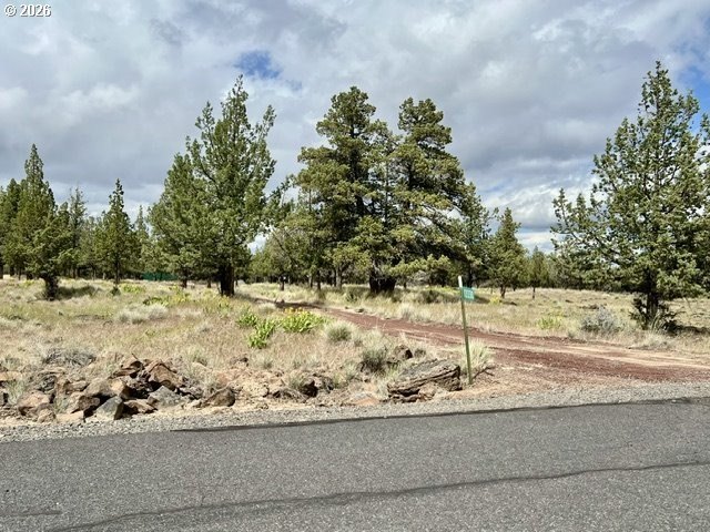 Buildable Lot in 3 Rivers