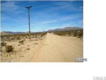Picture 6