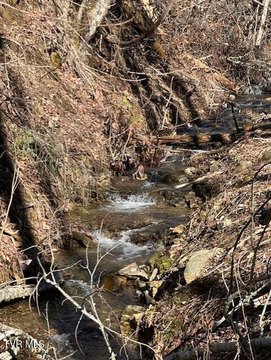 Unicoi, TN Land for Sale