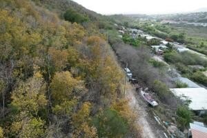 Picture 13