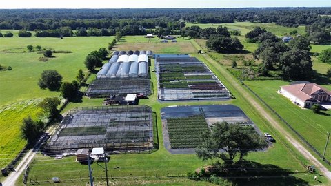 Wholesale Nursery with Greenhouses