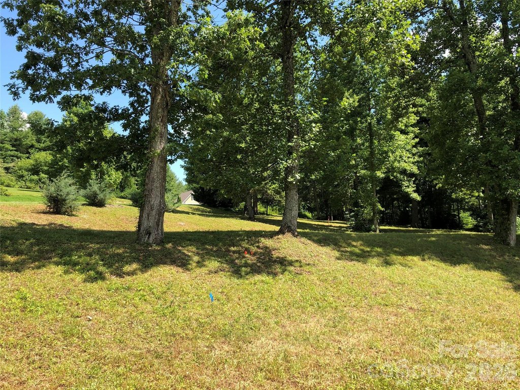 Picture 23