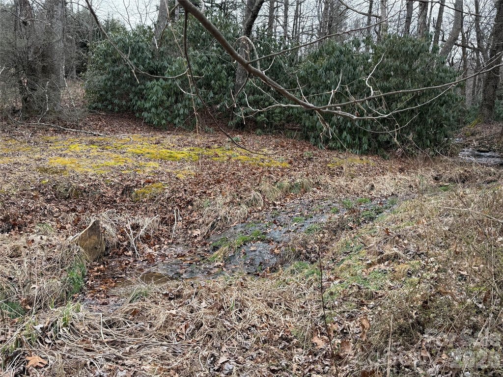 Picture 38