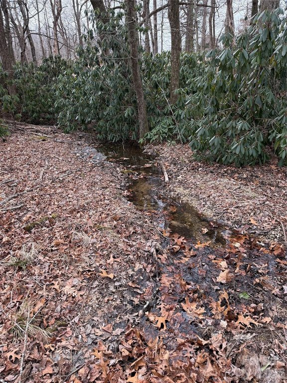Picture 48