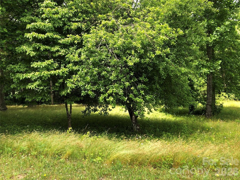 Picture 33
