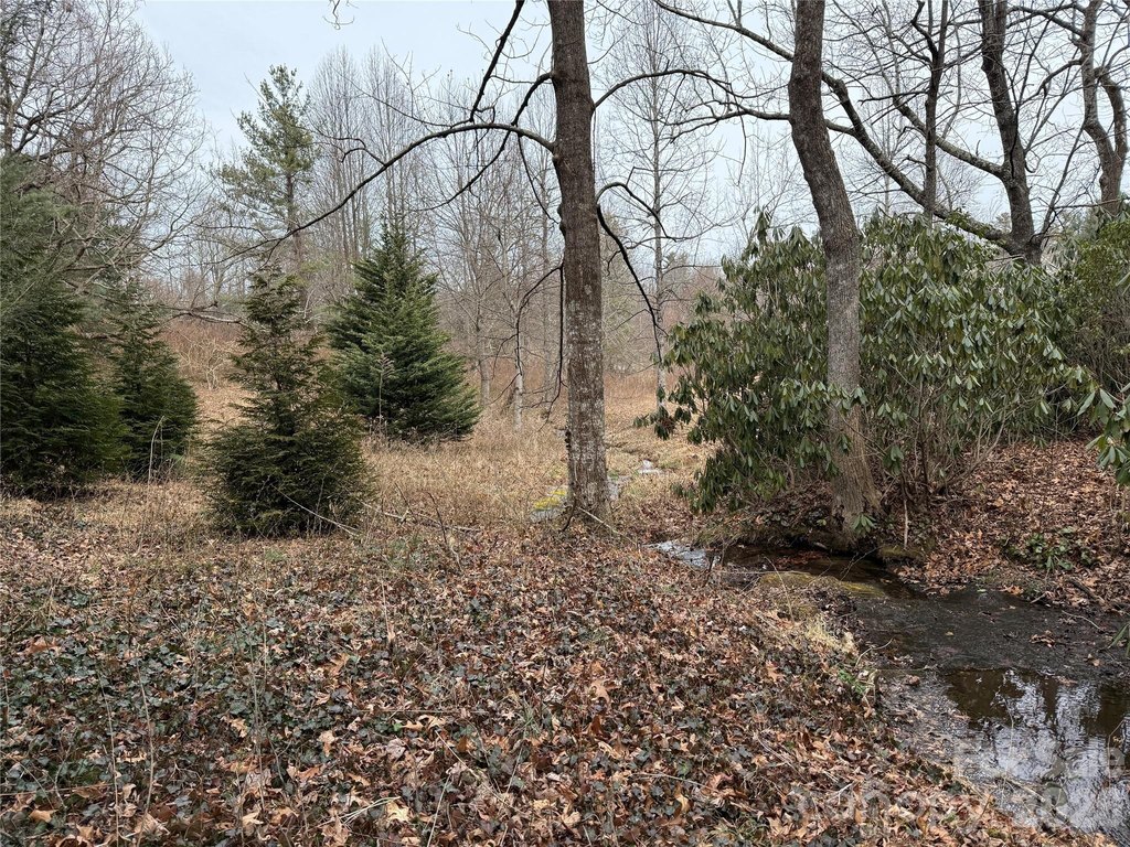 Picture 44