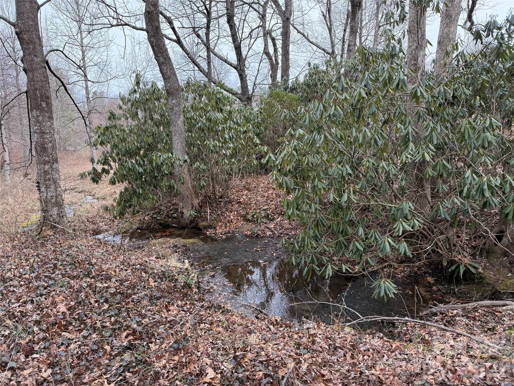 Picture 43