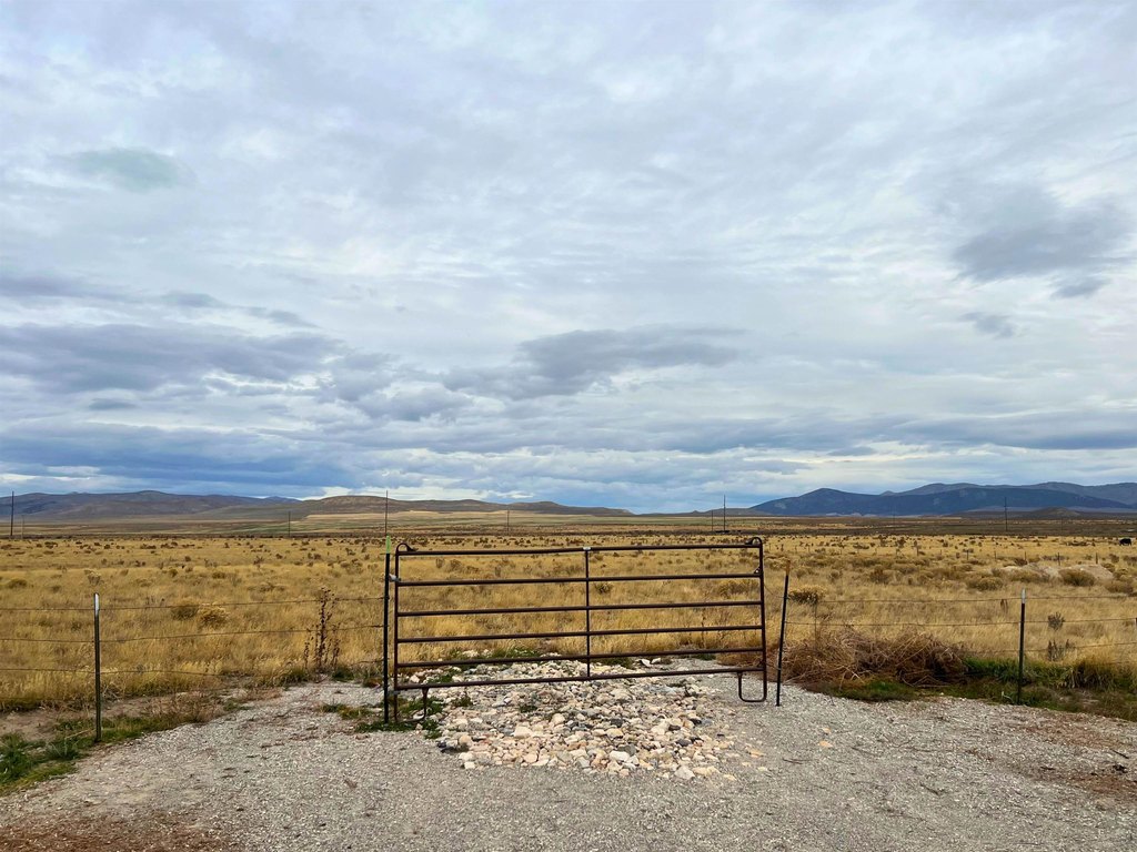 Picture 21