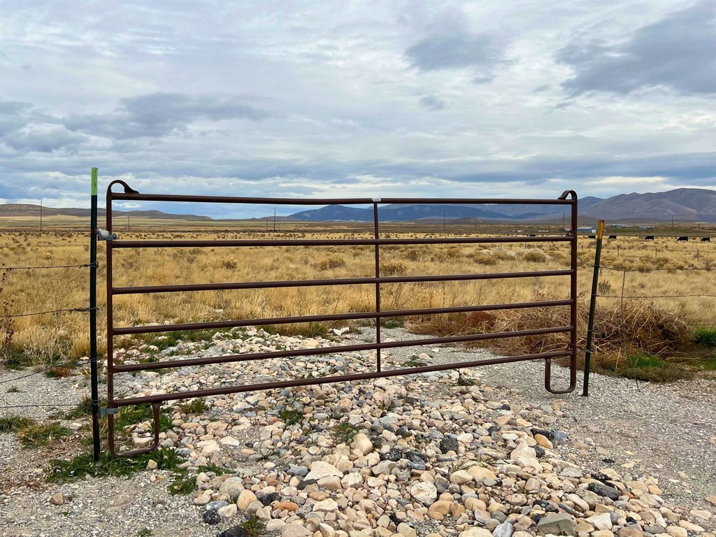 Picture 20