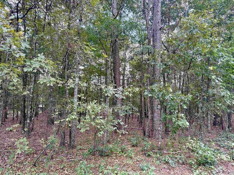 Vacant Land, Higden, AR