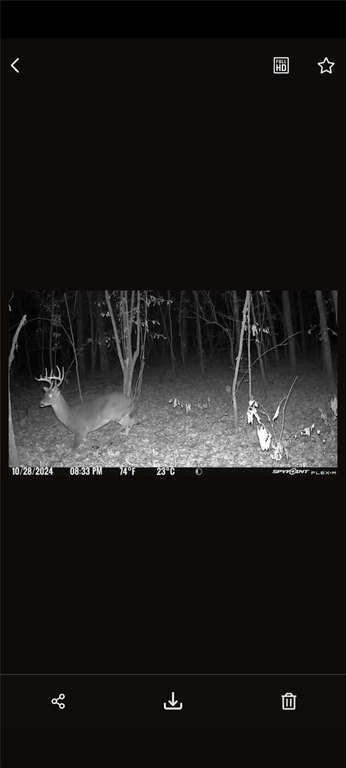 Picture 13