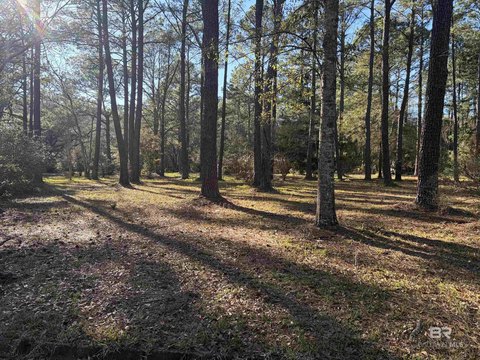 Residential Land Near Dog River