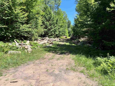 LAND - Ontonagon, MI