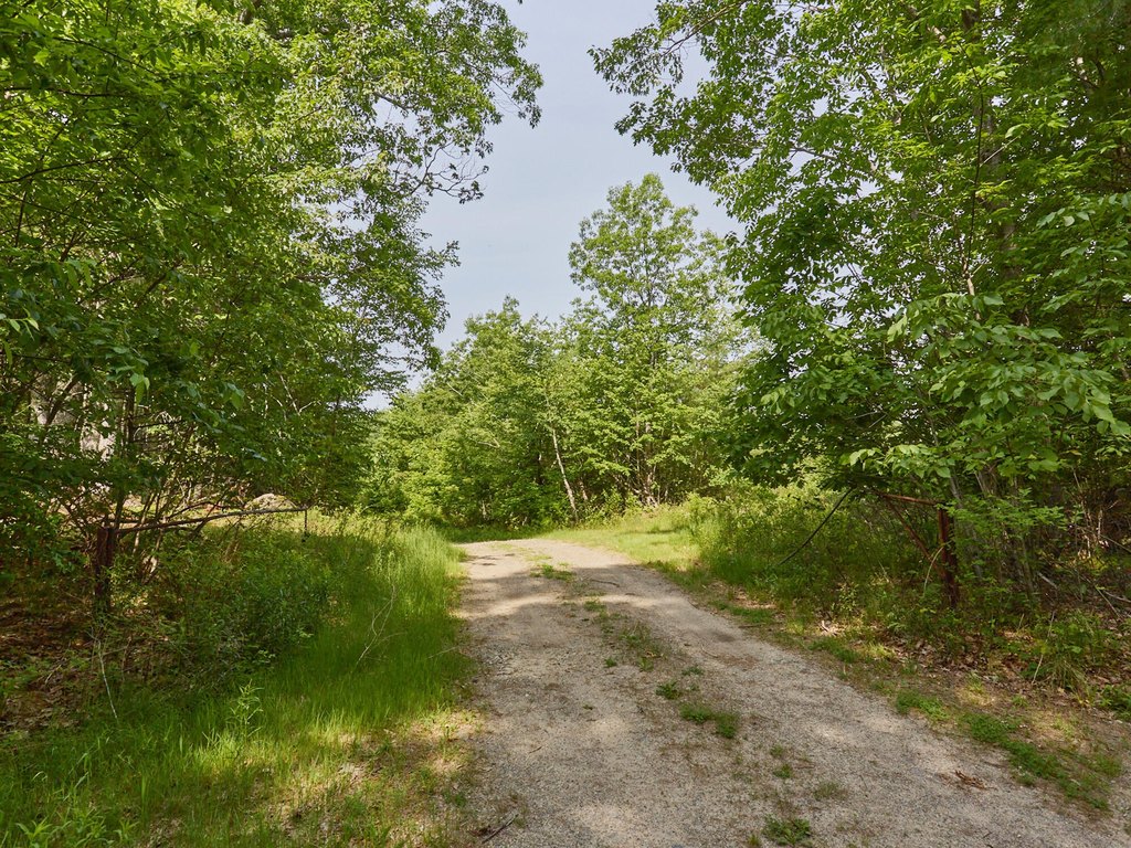 Picture 20