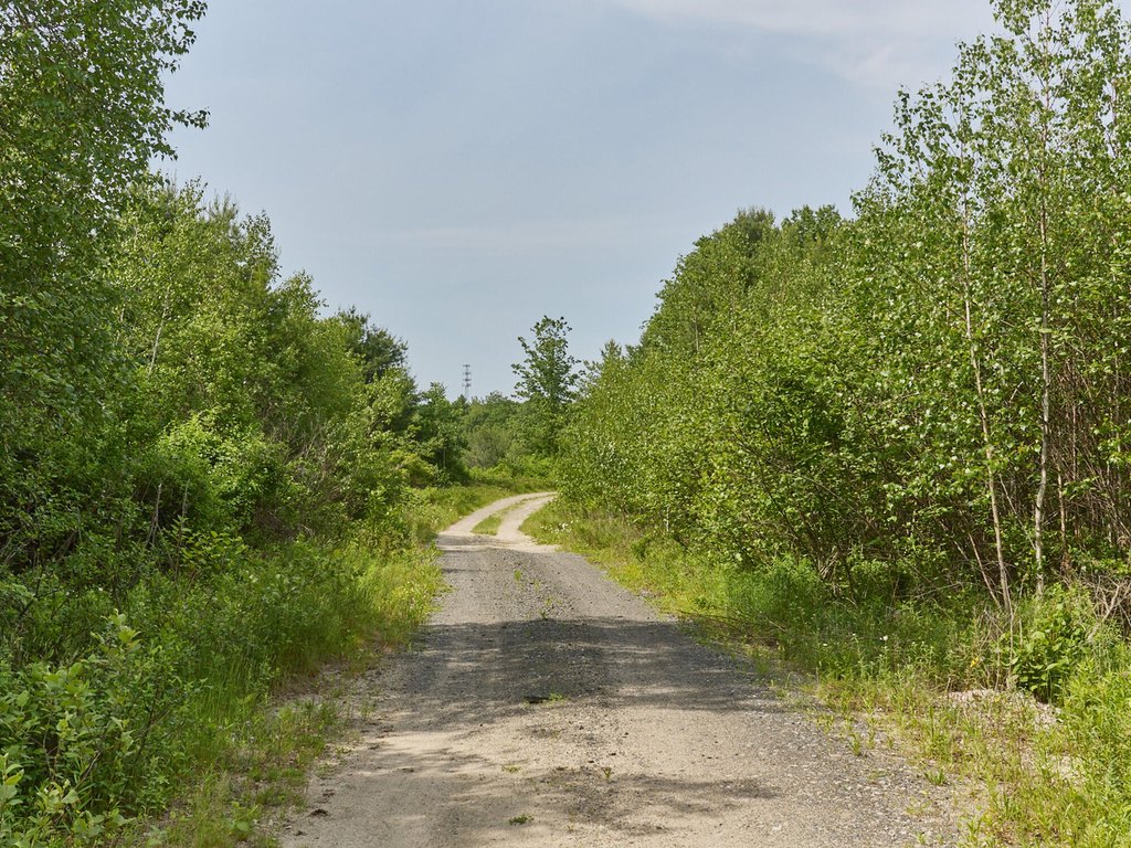 Picture 22