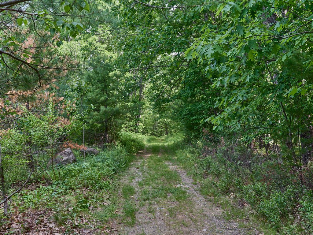 Picture 13