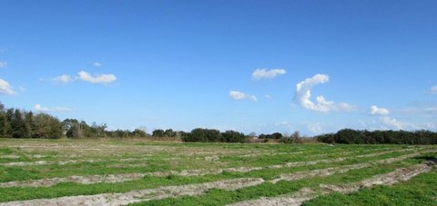 Commercial Land with Public Utilities