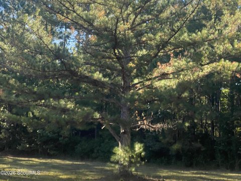 LAND - Townsend, GA