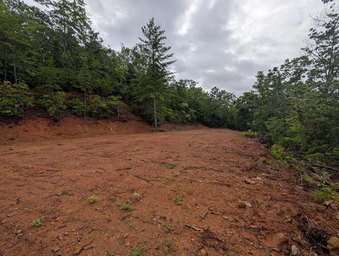 Unrestricted Land in Smoky Mountains