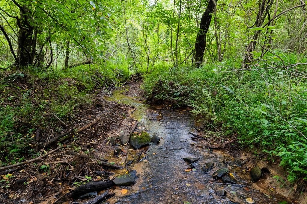 Ellijay Acreage with Creek Frontage