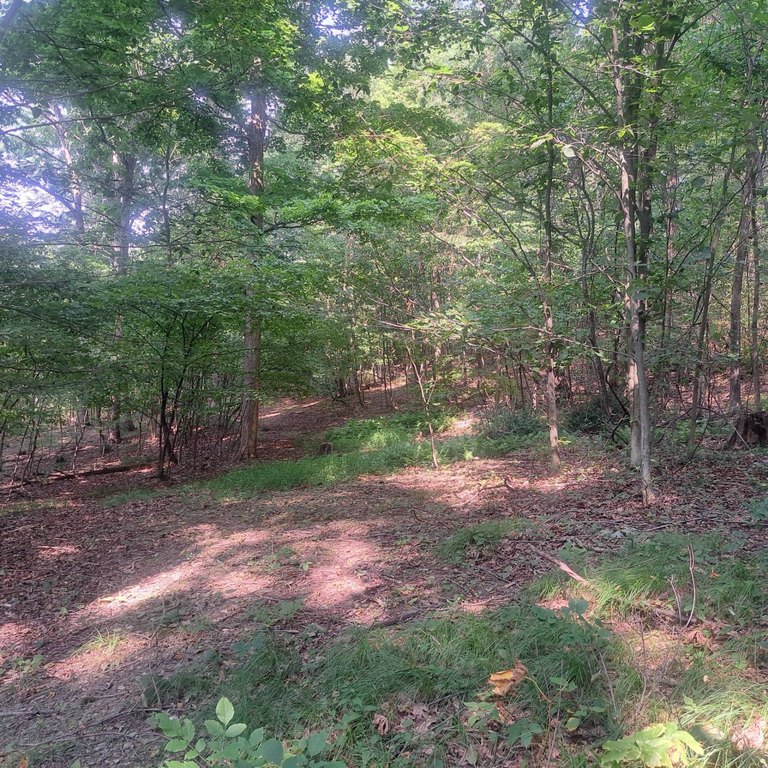 Picture 8