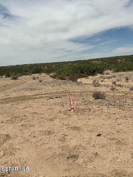 Horizon City Land Investment Opportunity