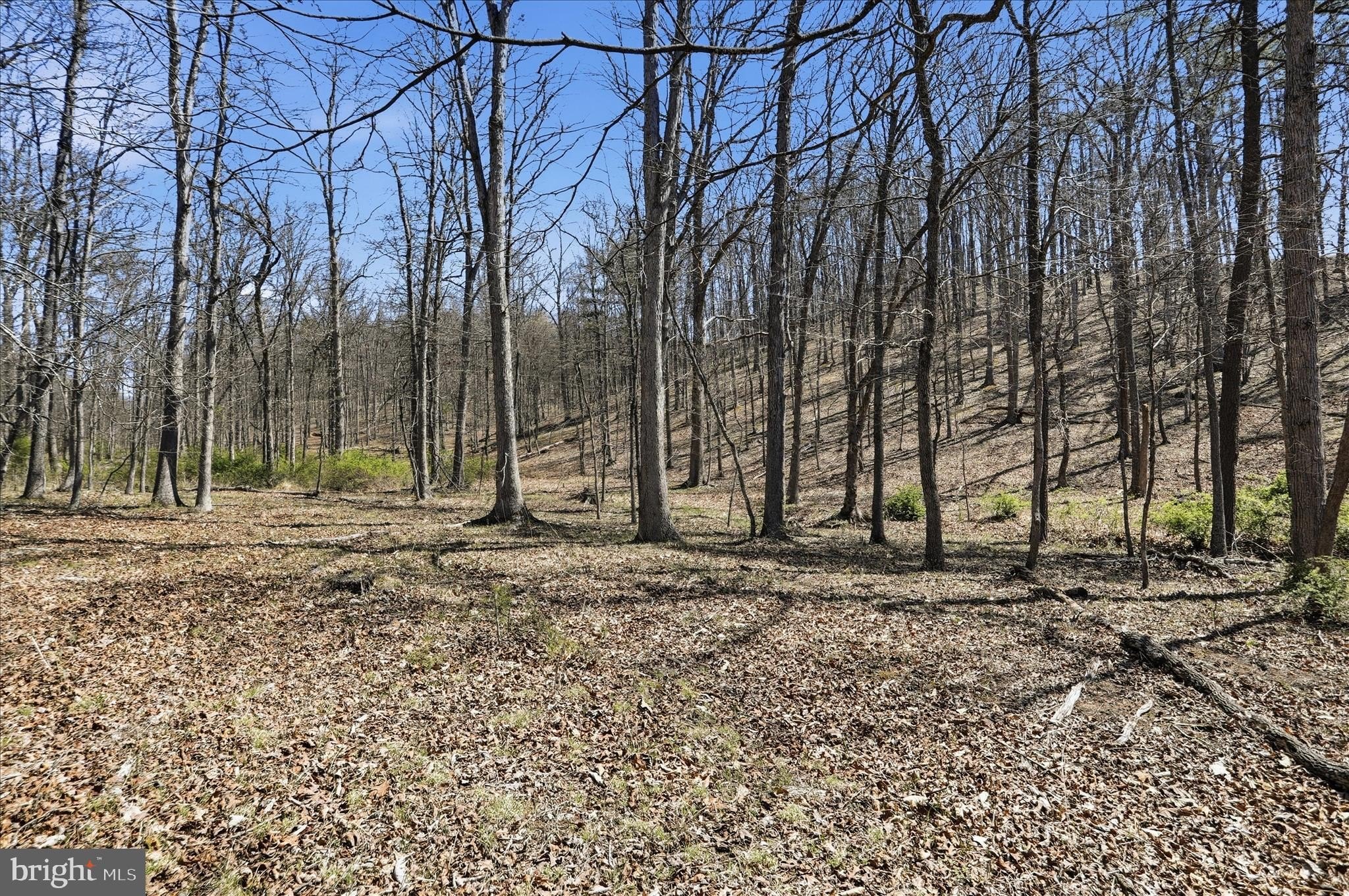 Wooded Acreage with Cleared Build Site