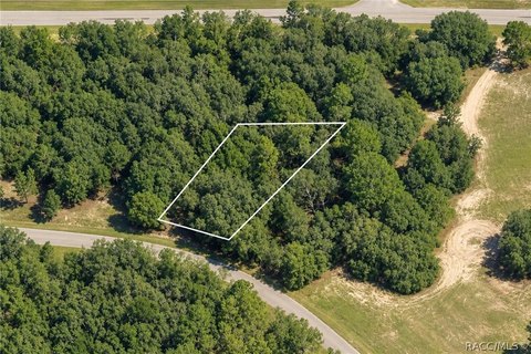 Land, Dunnellon, FL