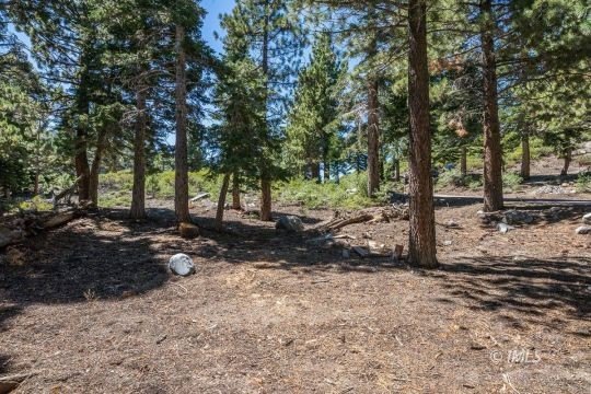 Summit Street Land in Mammoth
