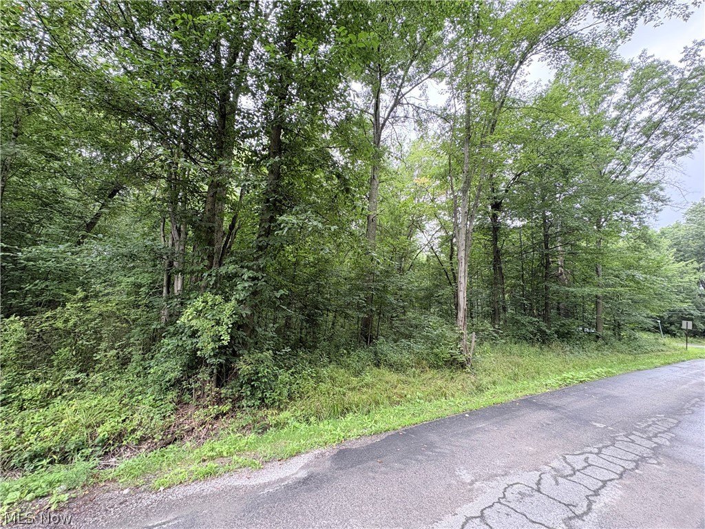 Picture 4
